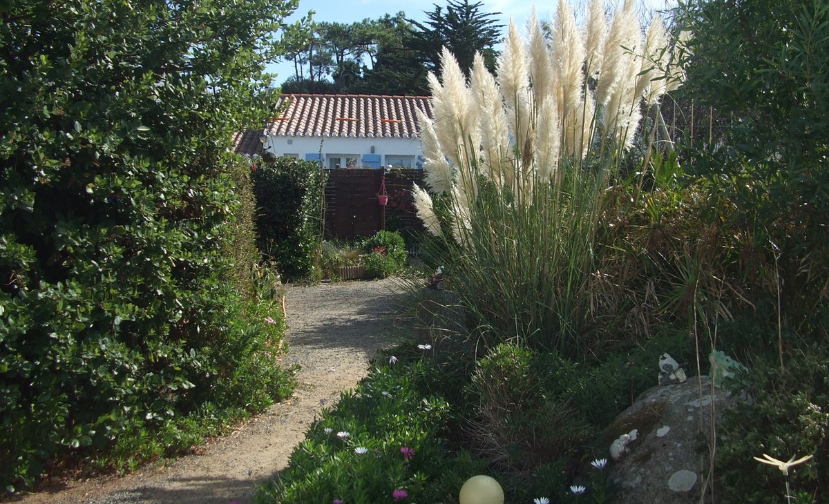 jardin d'automne