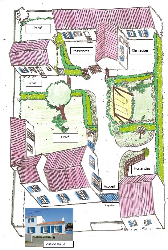 plan d oiseau