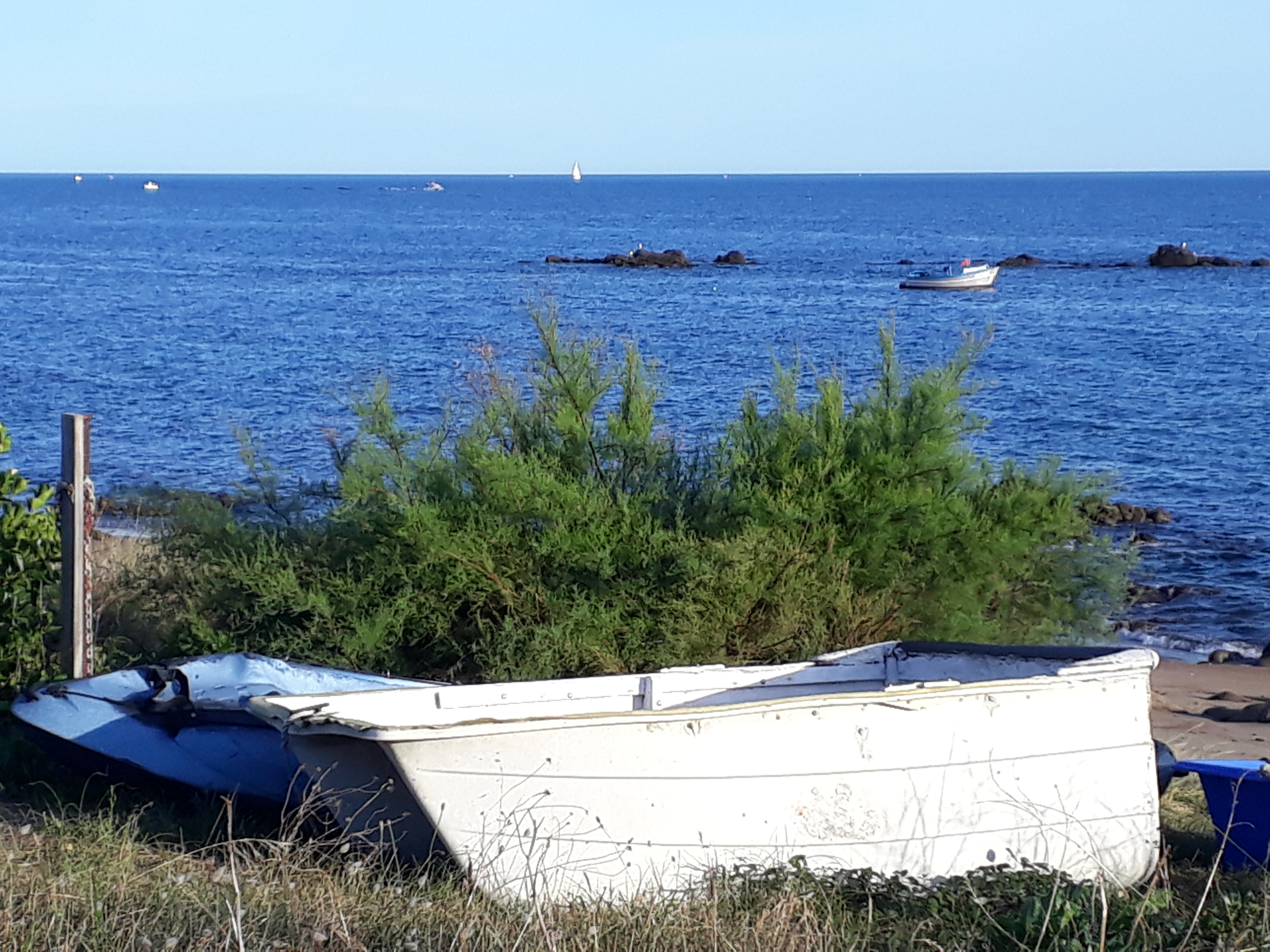 halloween-2016_med_hr